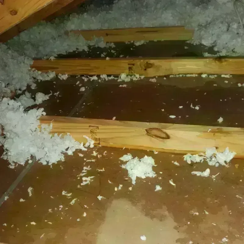 Attic Water Damage in Conway, AR