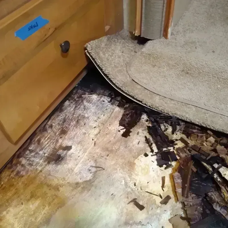 Wood Floor Water Damage in Conway, AR